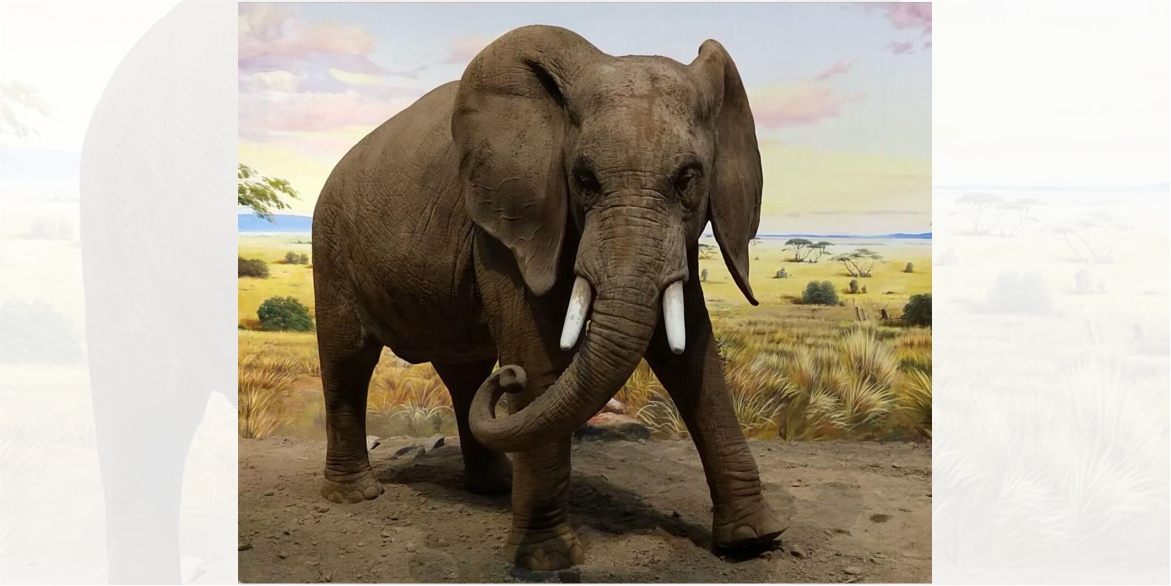 WhatsApp Image 2024-02-20 at 13.21.24 (1)