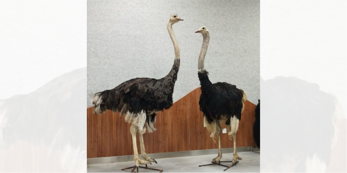 WhatsApp Image 2024-02-20 at 13.21.24