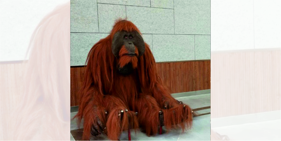 WhatsApp Image 2024-02-20 at 14.58.22