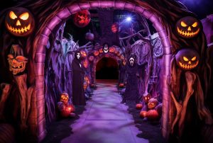 Halloween Horror House (Cover Image)