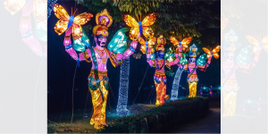 dfineart_87129_A_group_of_traditional_Lord_Hanuman_kites_made_f_4f167f00-429f-40a9-84ec-c3e6e5f4edb4