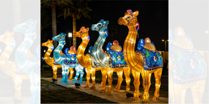 dfineart_87129_In_the_night_park_there_is_an_artistic_installat_c2d8f9dd-4686-4bf7-8b60-6ce96959e270
