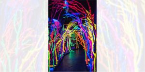 meow-wolf